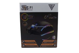 Gamdias Zeus P1 RGB 1